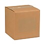 Tape Logic Block Out Labels, 8" x 10", Kraft, 250/Roll (DL1385K)~#|#~sp127290464_sc7
