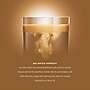 Nescafe Dolce Gusto Café Au Lait Coffee Nescafe Capsules, Medium Dark Roast, 16/Box (NES77321)~#|#~sp128476451_sc7