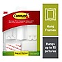 Command Picture Hanging Assortment Kit, White/Clear, 50/Pack (17213-ES)~#|#~sp129292125_sc7