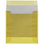 JAM Paper 6 x 6 Square Translucent Vellum Invitation Envelopes, Primary Yellow, 50/Pack (PACV516I)~#|#~sp131391045_sc7