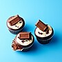 Hershey's Miniatures Variety Milk Chocolate Candy Bar, 56 oz., 180/Bag (HEC21543)~#|#~sp132062315_sc7
