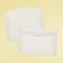 JAM Paper 6 x 9 Booklet Translucent Vellum Envelopes, Clear, Bulk 250/Box (80538H)~#|#~sp132864748_sc7