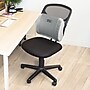 Mount-It! ErgoActive Lumbar Support Cushion with Straps, Breathable Mesh Cover, Gray (MI-1013)~#|#~sp133530612_sc7