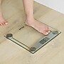 Escali E184 Bathroom Scale, Clear Glass, 400 Lbs. Capacity~#|#~sp134139856_sc7