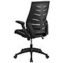 Flash Furniture Kale Ergonomic Mesh Swivel High Back Executive Office Chair, Black (BLZP809BK)~#|#~sp137095177_sc7