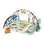 Fisher-Price Activity City Gym to Jumbo Play Mat (GRV42)~#|#~sp137193848_sc7