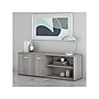 Bush Business Furniture Studio C Low Storage Cabinet with Doors and Shelves, Platinum Gray (SCS160PG)~#|#~sp143680613_sc7
