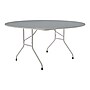 Correll Folding Table, 62" Dia., Gray (CF60TF-15)~#|#~sp145952617_sc7