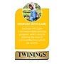 Twinings Cold Brewed Mint Tea Bags, 20/Box (F07413)~#|#~sp147471786_sc7
