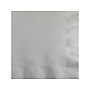 Creative Converting Touch of Color Beverage Napkin, 2-ply, Shimmering Silver, 150 Napkins/Pack (DTC803281BBNAP)~#|#~sp151224469_sc7