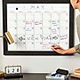 Expo Dry Erase Marker, Fine Tip, Assorted, 12/Pack (86603)~#|#~sp155561558_sc7