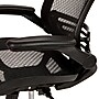 Flash Furniture Warfield Ergonomic Mesh Swivel Executive Chair, Black with Black Frame (BL8801XBK)~#|#~sp155711363_sc7