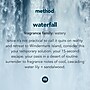 Method Foaming Hand Soap, Waterfall, 10 Oz, 6/carton (MTH01160)~#|#~sp157700121_sc7