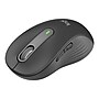 Logitech Signature M650 L for Business Wireless Ergonomic Optical USB Mouse, Graphite (910-006346)~#|#~sp161540018_sc7