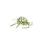 IDEAL 2465 P-2 Security 27 Sheet Strip Cut Multi-Media Commercial Shredder (IDEDSH0068H)~#|#~sp163153121_sc7