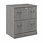 Bush Furniture Saratoga 2-Drawer Lateral File Cabinet, Locking,  Modern Gray (EX45854-03)~#|#~sp163411964_sc7