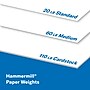 Hammermill Premium 8.5" x 11", Cardstock Paper, 110 lbs., White, 600 Sheets/Ream (168380)~#|#~sp167250315_sc7