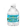 Zephyrhills 100% Natural Spring Water, 8 oz., 48/Pack (11475286)~#|#~sp170186051_sc7