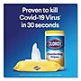 Clorox Disinfecting Wipes, Crisp Lemon, 75/Canister, 6 Canisters/Carton~#|#~sp172005925_sc7