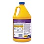 Zep Commercial® Stain Resistant Floor Sealer, Unscented, 1 gal, 4/Carton~#|#~sp177991024_sc7