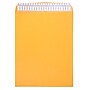 JAM Paper Peel & Seal Kraft Open End #15 1/2 Catalog Envelope, 12" x 15 1/2", Brown, 500/Pack (13034236C)~#|#~sp20131886_sc7