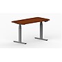 LifeFlo Ergonomics Height Adjustable Desk, 48"W x 24"D x 1 1/8" Thick, Cherry (LFO-4824-E2-CH)~#|#~sp20168324_sc7