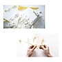 Hamilton Buhl Paleo Hunter Velociraptor Rex Dig Kit (HECPHVRT)~#|#~sp215022943_sc7