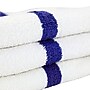 Hospeco Power Gym Hand Towels, 16" x 27", Blue Stripe, 12 Towels/Pack, 10 Pack/Carton (PWR-1627-3BCS)~#|#~sp218077090_sc7