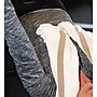 Monarch Brands Power Gym Hand Towels 16"x27", Beige Stripe, 12/Pack (P-PWR1627-3BG)~#|#~sp218077096_sc7