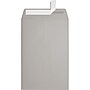 JAM Paper 6 x 9 Open End Envelopes, 28lb, Gray Kraft, 250 Pack (1644-GK-250)~#|#~sp223744762_sc7