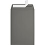 JAM Paper 6 x 9 Open End Envelopes, Smoke Gray, 50 Pack (EX1644-22-50)~#|#~sp223744782_sc7