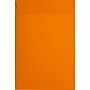 JAM Paper 6 x 9 Open End Envelopes ,Mandarin Orange, 50 Pack, Orange (EX1644-11-50)~#|#~sp223744797_sc7