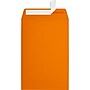 JAM Paper 6 x 9 Open End Envelopes ,Mandarin Orange, 50 Pack, Orange (EX1644-11-50)~#|#~sp223744798_sc7