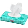 Clorox® Disinfecting Wipes, Fresh Scent, 1 Pack, 75 Wipes (31430)~#|#~sp22466151_sc7