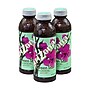 Arizona Green Tea Bottles, 16 oz., 24/Pack (220-00806)~#|#~sp22532839_sc7