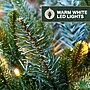 Fraser Hill Farm Prelit 18" Artificial Sidewalk Trees, 3/Set (FFPTI018-5GR)~#|#~sp227531969_sc7