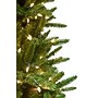 Fraser Hill Farm 6.5 ft. Carmel Pine Pre-Lit Artificial Christmas Tree, 550 Lights (FFCP065-5GR)	~#|#~sp227533143_sc7