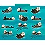 Barker Creek Sea & Sky File Folder, 1/3-Cut Tab, Letter Size, Assorted Colors, 12/Pack (2015)~#|#~sp241539364_sc7