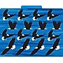 Barker Creek Sea & Sky File Folder, 1/3-Cut Tab, Letter Size, Assorted Colors, 12/Pack (2015)~#|#~sp241539365_sc7