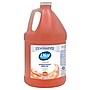 Dial Professional Antibacterial Foaming Hand Soap Refill, 1 Gallon, Original Scent (DIA35452)~#|#~sp245948842_sc7