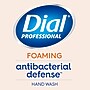 Dial Professional Antibacterial Foaming Hand Soap Refill, 1 Gallon, Original Scent (DIA35452)~#|#~sp245948845_sc7