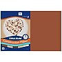 Pacon Tru-Ray 12" x 18" Construction Paper, Assorted Skin Tone Colors, 50 Sheets/Pack (P102950)~#|#~sp257729700_sc7