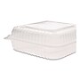 Karat Polypropylene Plastic Hinged Container, Clear, 50/Pack, 4 Packs/Carton (FP-HC99PP-1C)~#|#~sp264452951_sc7