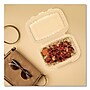 Dart ProPlanet Plastic Hinged Carryout Container, Clear, 300/Carton (69PPHT1)~#|#~sp269523524_sc7