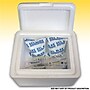 Gel Blox Moisture Resistant Cold Packs, 8 oz., 6" x 4", 36/Box (GB4636)~#|#~sp27266151_sc7