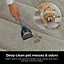 Shark CarpetXpert Wet/Dry Vacuum, Slate Green (EX151)~#|#~sp310654688_sc7