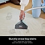Shark CarpetXpert Wet/Dry Vacuum, Slate Green (EX151)~#|#~sp310654691_sc7