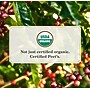 Peet's Coffee Organic French Roast Whole Bean Coffee, Dark Roast, 16 oz. (1000236)~#|#~sp311881104_sc7