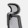 Branch Ergonomic Chair Pro Headrest, Black/Boulder (13-45-00-11)~#|#~sp312429950_sc7