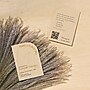 Avery Rectangle Single Rounded Corner Integrated Cards, Matte Kraft Brown, 100/Pack (19479398963)~#|#~sp314005306_sc7